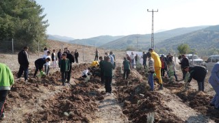 Hasanbeyli’de fidanlar toprakla buluştu