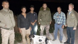 Osmaniye’de oklu kirpi avlayan 3 kişiye 9 bin 81 lira ceza