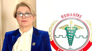 Osmaniye Akademik Meslek Odaları Birliği Kuruluyor