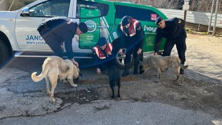 Hasanbeyli’de sokak hayvanlarına besleme dağıtıldı