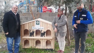 Osmaniye’de belli noktalara ‘Kedi Evleri’ yerleştiriliyor