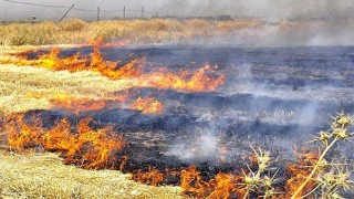 Akız yakma konusunda çiftçiler uyarıldı