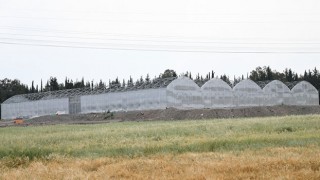 Çiçek üretim sahasındaki çalışmalar bitmek üzere