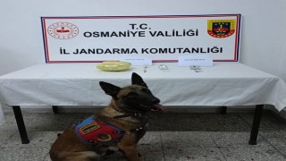 Jandarma, zehir tacirlerine göz açtırmıyor