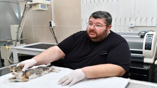 Kazazede kedi, tedavi altına alındı