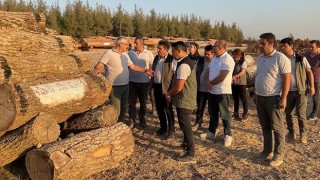 Orman Bölge Müdürü, Orman Depolarını İnceledi