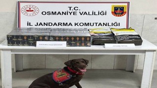 Uyuşturucu ve kaçakçılıkla mücadele operasyonu yapıldı