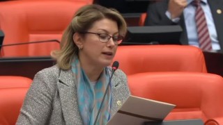 Kaya, Depremzedelerin Sorunlarını Dile Getirdi