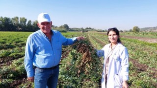Kuraklık ve Artan Girdi Maliyetleri Çiftçiyi Zorluyor