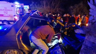 Antalya’da palmiye ağacına çarpan otomobildeki 3 kişi yaralandı