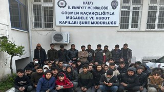 Hatay’da yurda yasa dışı yollarla giren 53 Suriye uyruklu yakalandı