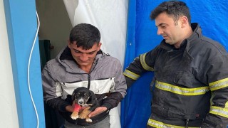 İskenderun’da konteynere sıkışan köpek yavrusunu itfaiye çıkardı