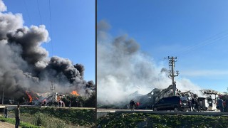 Mersin’de narenciye paketleme fabrikasında çıkan yangına müdahale ediliyor