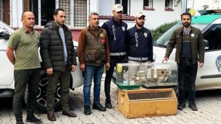 Osmaniye’de istilacı kuş satışı yapan iş yerinin sahibine para cezası