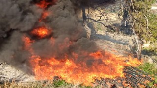 Mersin’de boş arazideki tarımsal sulama hortumları yandı