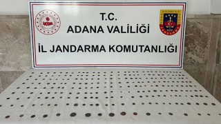 Adana’da 250 sikke ele geçirildi