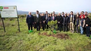 Dardanel, Çanakkale’de 40. yılında hatıra ormanı oluşturdu