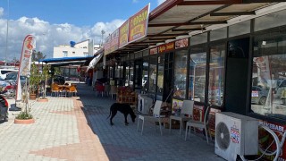 Hatay Samandağ’da depremlerden sonra açılan çarşıda 39 esnaf hizmet veriyor