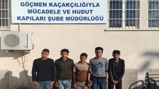 Hatay’da 6 düzensiz göçmen yakalandı