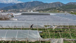 Hortumun zarar verdiği Kumluca ve Demre’de hasar tespit çalışması yapılıyor