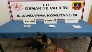 Osmaniye’de Zehir Tacirlerine Operasyon