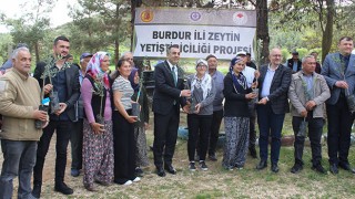 Burdur Gölü yakınındaki arazilerde 25 bin zeytin fidanı toprakla buluşturuldu