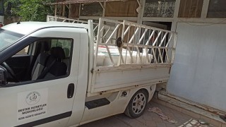 Hatay’da ruhsatsız işletilen 4 süt ve süt ürünleri işletmesi mühürlendi