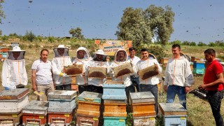 Mersin’de narenciye balı hasadı yapıldı