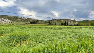 Osmaniye’de sağanak ve dolu, tarım arazilerine zarar verdi