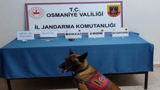 Zehir Tacirlerine Jandarma Operasyonu