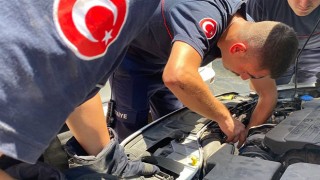 Serik’te aracın motoruna sıkışan yavru kedi kurtarıldı