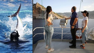 Antalya’da 32 orkinosa uydu cihazı takıldı