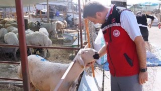 Kurban Pazarında Denetim Yapıldı