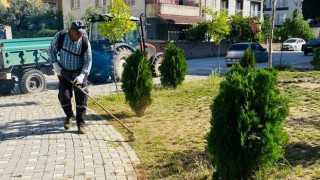 Yeşil Alan ve Yaylada Temizlik Seferberliği