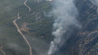 Antalya’da ormanlık alanda yangın çıktı