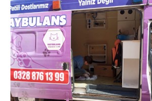 Haybulans Sokak Hayvanlarının İmdadına Yetişiyor