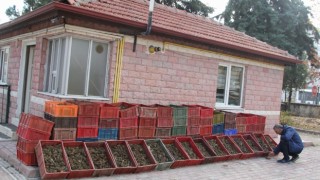 Isparta’da kaçak avlanan 84 kasa kerevit ele geçirildi