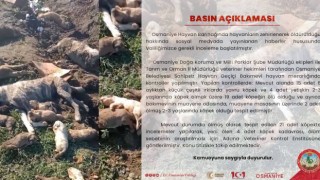 Barınaktaki Şüpheli Ölümler Üzerine Valilik İnceleme Başlattı
