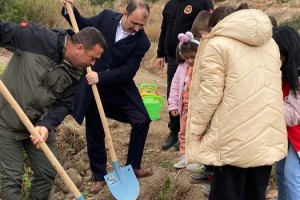 Kaymakam Dolu, Dünya Sosyal Hizmet Günü'nde Defne Fidanları Dikti