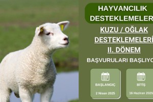 Osmaniye’de Kuzu ve Oğlak Destekleme Başvuruları Başladı