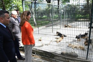 Ebru Çenet, Sokak Canlarını Ziyaret Etti
