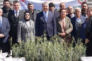 Osmaniye'de Çiftçilere Hibeli Soya Tohumu ve Zeytin Fidanı Desteği