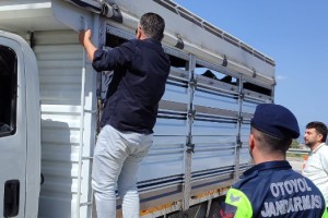 Osmaniye’de Yol Kontrolünde Evrak Eksiği Tespit Edilen Araca Ceza