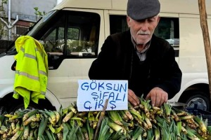 Şifalı Çiriş Otu Tezgahlarda Yerini Aldı