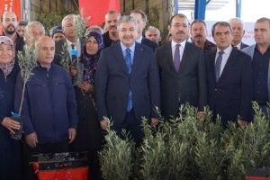 TAKE Projesi Kapsamında Kadirli’de Çiftçilere Zeytin Fidanı Desteği