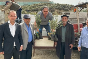 Toprakkale'de 126 Çiftçiye Yüzde 60 Hibeli Zeytin Fidanı Desteği