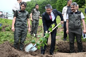 Düziçi Dumanlı Yaylası’nda Koruyucu Aileler İçin Hatıra Ormanı