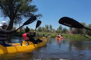 Osmaniye’de Ceyhan Nehri’nde Kano Etkinliği Coşkusu