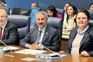 Derya Yanık Yeniden İnsan Hakları Komisyonu Başkanı Seçildi