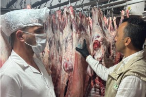Kurban Bayramı Öncesi Osmaniye’de Gıda Denetimleri Sıklaştı